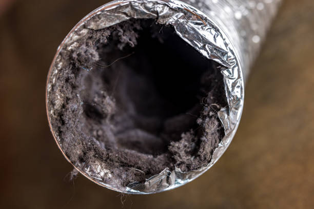 Best HVAC Maintenance and Cleaning  in Wapello, IA
