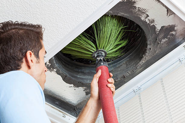 Best Air Duct Cleaning Near Me  in Wapello, IA
