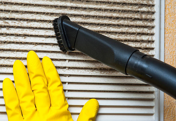 Best Local Air Duct Cleaning Services  in Wapello, IA